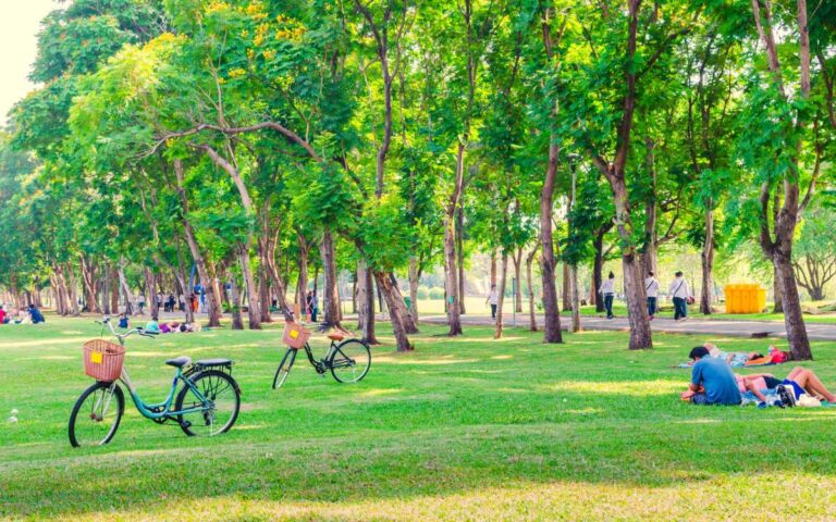 Parque para andar de bicicleta perto de mim